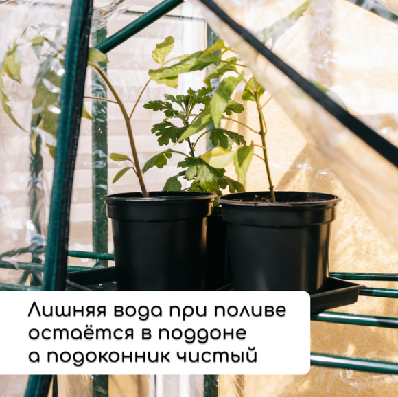 Набор для рассады Greengo стаканы 500мл*8шт поддон 40×20см Арт-1986222