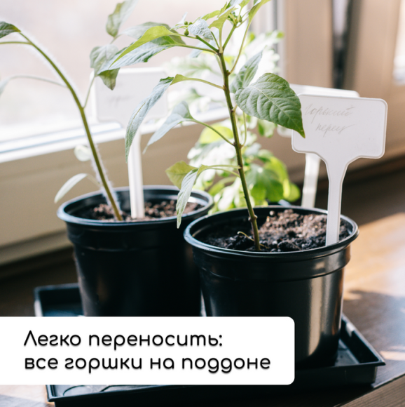 Набор для рассады Greengo стаканы 500мл*8шт поддон 40×20см Арт-1986222