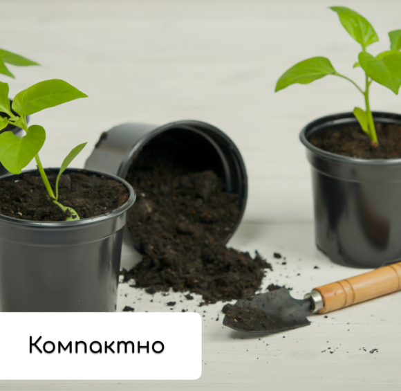 Набор для рассады Greengo стаканы 500мл*8шт поддон 40×20см Арт-1986222