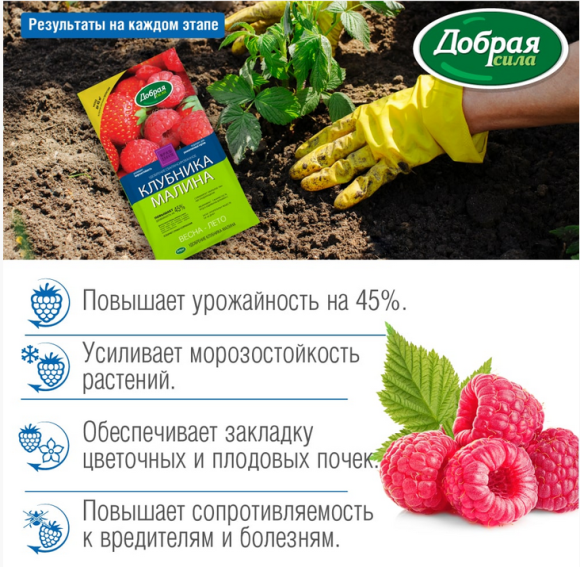 Удобрение Клубника-Малина 0,9кг Добрая сила (1уп/12шт)