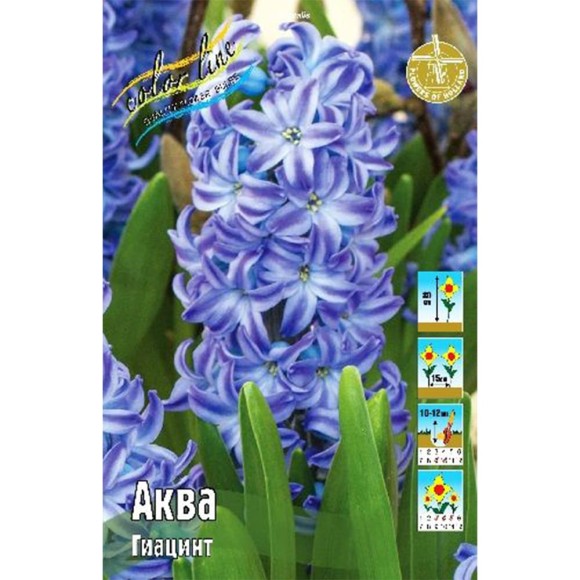 Гиацинты Аква 14/15 (1уп/3шт)