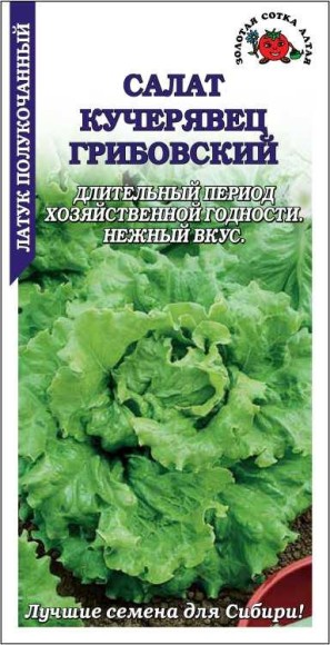 Салат Кучерявец грибовский ЦВ/П (СОТКА) 0,5гр среднеспелый полукочанный