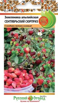 Земляника Сентябрьский сюрприз ЦВ/П (РУССКИЙ ОГОРОД) 0,05гр ремонтантный безусый Земляника Сентябрьский сюрприз ЦВ/П (РУССКИЙ ОГОРОД) 0,05гр ремонтантный безусый