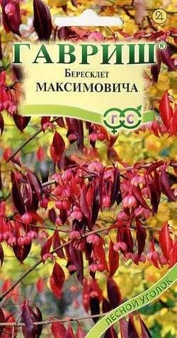 Бересклет Максимовича ЦВ/П (ГАВРИШ) 0,2гр многолетник до 4м