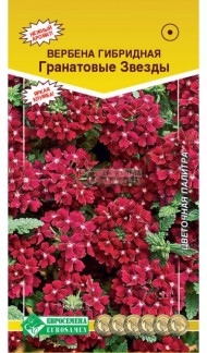 Цветы Вербена Гранатовые Звезды ЦВ/П (ЕС) 20шт однолетник до 30см
