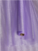 Органза 70см*9м Светло-Фиолетовая