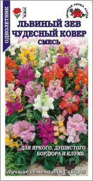 Цветы Львиный Зев Чудесный Ковер смесь ЦВ/П (СОТКА) 0,1гр однолетник 15-20см