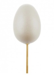 Стикер Яйцо 6*50см