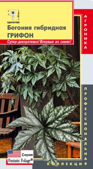 Цветы Бегония Грифон F1 ЦВ/П (ПЛАЗМА) 3шт однолетник 40см Цветы Бегония Грифон F1 ЦВ/П (ПЛАЗМА) 3шт однолетник 40см