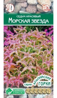Цветы Седум (очиток) Морская Звезда ЦВ/П (ЕС) 10шт многолетник 13-15см Цветы Седум (очиток) Морская Звезда ЦВ/П (ЕС) 10шт многолетник 13-15см