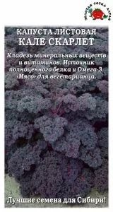 Капуста листовая Кале Скарлет F1 ЦВ/П (СОТКА) 0,3гр позднеспелый Капуста листовая Кале Скарлет F1 ЦВ/П (СОТКА) 0,3гр позднеспелый