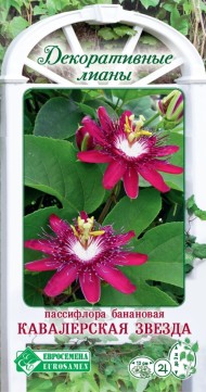 Цветы Пассифлора Кавалерская звезда банановая ЦВ/П (ЕС) 5шт многолетник лиана до 3м