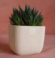 Горшок Фабио 1,95лит Крем 14х14 х14см (с дренажной системой) Горшок Фабио 1,95лит Крем 14х14 х14см (с дренажной системой)