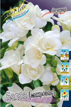 Фрезия махровая Белая (1уп/10шт) Фрезия махровая Белая (1уп/10шт)