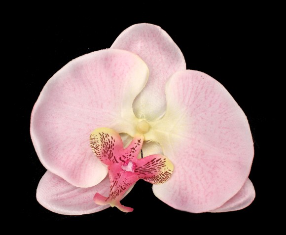 Орхидея 12см 3 штуки в упаковке Цена за упаковку