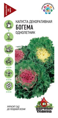 Цветы Капуста декоративная Богема ЦВ/П (ГАВРИШ) серия УДС 0,1гр однолетник 25-40см