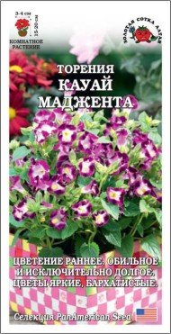 Цветы Торения Кауай Маджента ЦВ/П (СОТКА) 5шт комнатное 15-20см