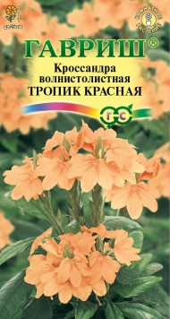 Цветы Кроссандра Тропик Красная ЦВ/П (ГАВРИШ) 3шт комнатное до 25см