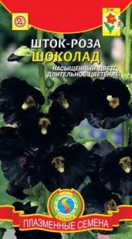 Цветы Шток-роза (Мальва) Шоколад ЦВ/П (ПЛАЗМА) 10шт многолетник 1,8м