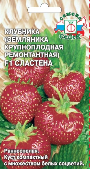 Клубника-Земляника Сластена F1 ЦВ/П (СЕДЕК) 15шт раннеспелый ремонтантный