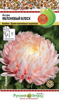 Цветы Астра Яблоневый Блеск ЦВ/П (РУССКИЙ ОГОРОД) 50шт однолетник 60см