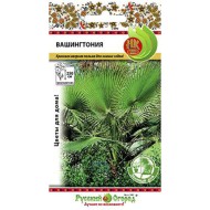 Цветы Вашингтония ЦВ/П (НК) 4шт комнатное до 2,5м