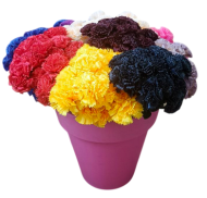 Гвоздика одиночная 46см Цветная Арт-DZ-1