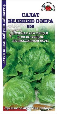Салат Великие озера 658 тип Айсберг ЦВ/П (СОТКА) среднеспелый кочанный