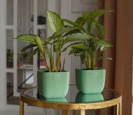 Горшок Фабио 1,95лит Зелёный 14х14х14см (с дренажной системой) Горшок Фабио 1,95лит Зелёный 14х14х14см (с дренажной системой)