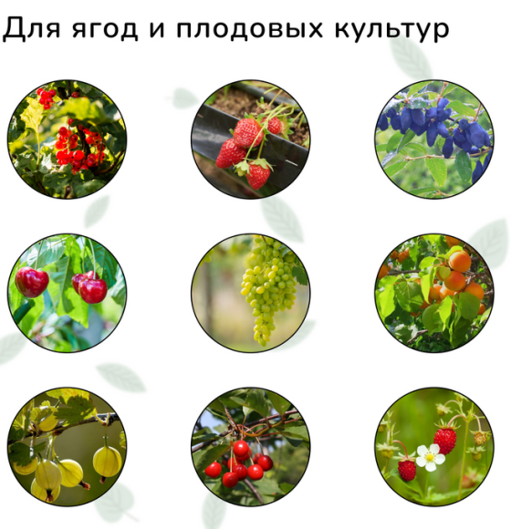 Сетка от Птиц 5м*4м Зелёная (1уп/1шт) ячея 8*8мм Сетка от Птиц 5м*4м Зелёная (1уп/1шт) ячея 8*8мм