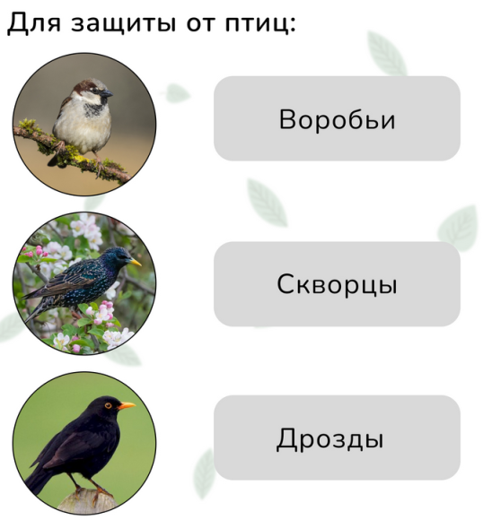 Сетка от Птиц 5м*4м Зелёная (1уп/1шт) ячея 8*8мм Сетка от Птиц 5м*4м Зелёная (1уп/1шт) ячея 8*8мм