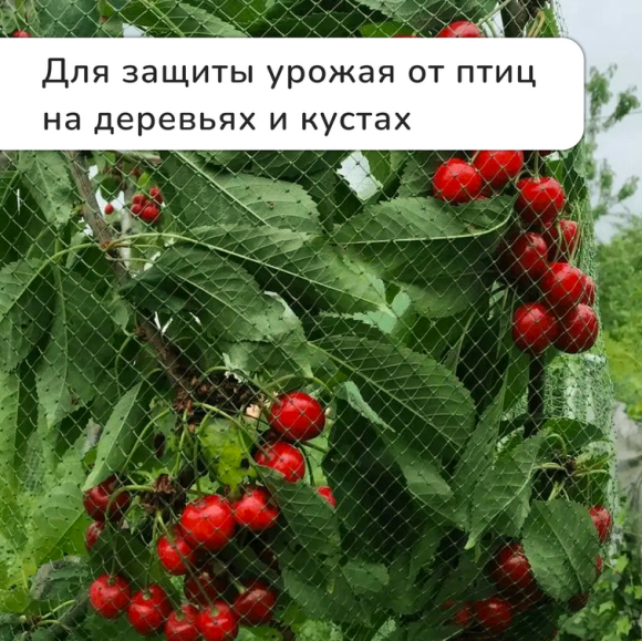 Сетка от Птиц 5м*4м Зелёная (1уп/1шт) ячея 8*8мм Сетка от Птиц 5м*4м Зелёная (1уп/1шт) ячея 8*8мм