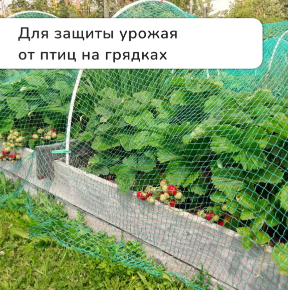 Сетка от Птиц 5м*4м Зелёная (1уп/1шт) ячея 8*8мм Сетка от Птиц 5м*4м Зелёная (1уп/1шт) ячея 8*8мм