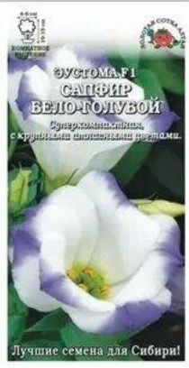 Цветы Эустома Сапфир Бело-Голубой ЦВ/П (СОТКА) 5шт комнатное 10-15см