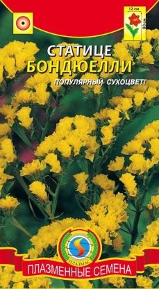 Цветы Статице Бондюелли ЦВ/П (ПЛАЗМА) 0,05гр сухоцвет однолетник до 80см Цветы Статице Бондюелли ЦВ/П (ПЛАЗМА) 0,05гр сухоцвет однолетник до 80см