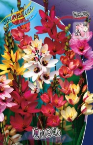 Иксия СМЕСЬ (1уп/10шт)