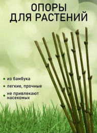 Бамбуковая опора 75см