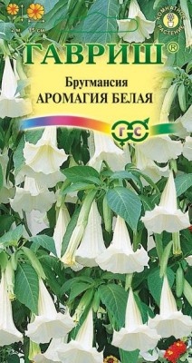 Цветы Бругмансия Аромагия Белая ЦВ/П (ГАВРИШ) 3шт комнатное до 2м