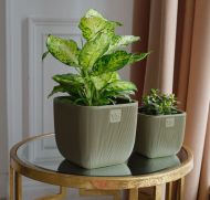 Горшок Фабио 1,95лит Оливка 14х14 х14см (с дренажной системой) Горшок Фабио 1,95лит Оливка 14х14 х14см (с дренажной системой)