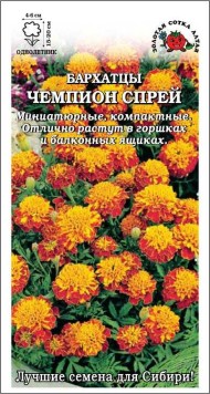 Цветы Бархатцы Чемпион Спрей ЦВ/П (СОТКА) 0,2гр однолетник 15-20см