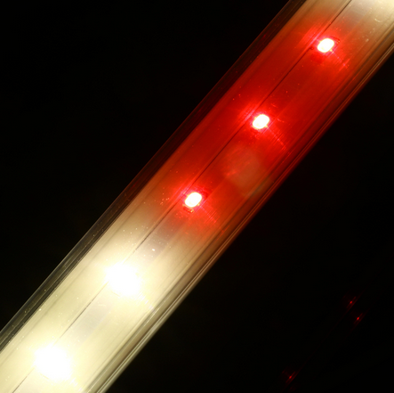 Фитолампа светодиодная 572мм ЭРА 9-ВТ Арт-7790555