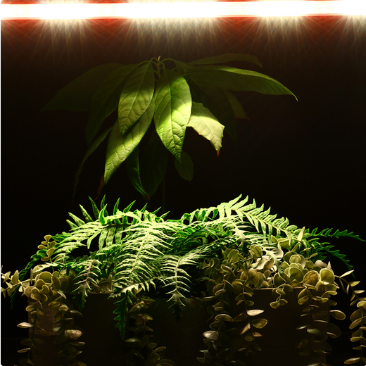 Фитолампа светодиодная 572мм ЭРА 9-ВТ Арт-7790555