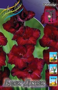 Гладиолусы Юнион Джек (1уп/10шт)