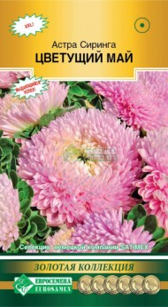 Цветы Астра Сиринга Цветущий май ЦВ/П (ЕС) 0,1гр густомахровая однолетник 60-70см