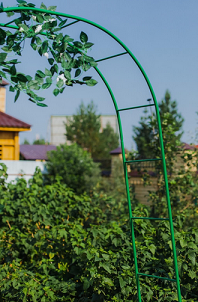 Арка садовая разборная Лесенка 240×125×36.5см зелёная Greengo Арт-2083021 Арка садовая разборная Лесенка 240×125×36.5см зелёная Greengo Арт-2083021