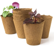 Горшок торфяной Набор 60*60 180шт (100мл)
