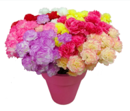 Букет Гвоздик 3 головы 70см