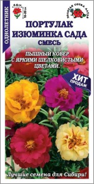 Цветы Портулак Изюминка сада ЦВ/П (СОТКА) 0,1гр однолетник 10-20см
