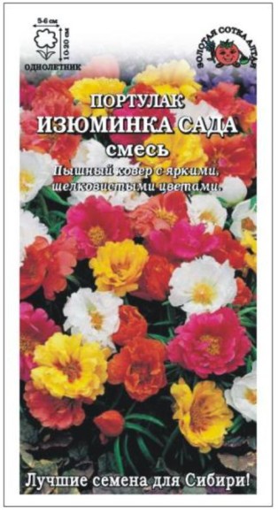 Цветы Портулак Изюминка сада ЦВ/П (СОТКА) 0,1гр однолетник 10-20см