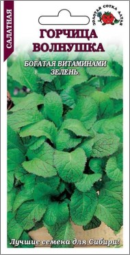 Горчица листовая Волнушка ЦВ/П (СОТКА) 0,5гр скороспелый